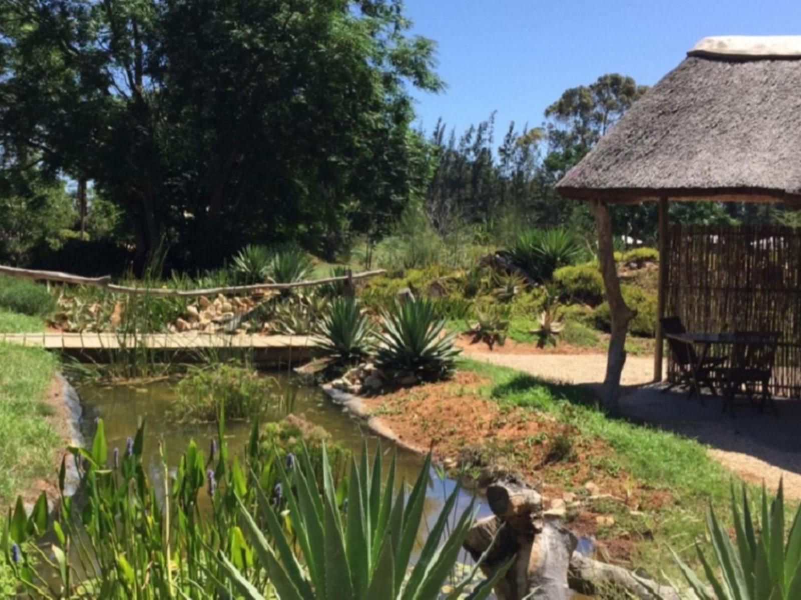 Addo African Home Restaurant And Safari Addo Eastern Cape South Africa Plant, Nature, Garden