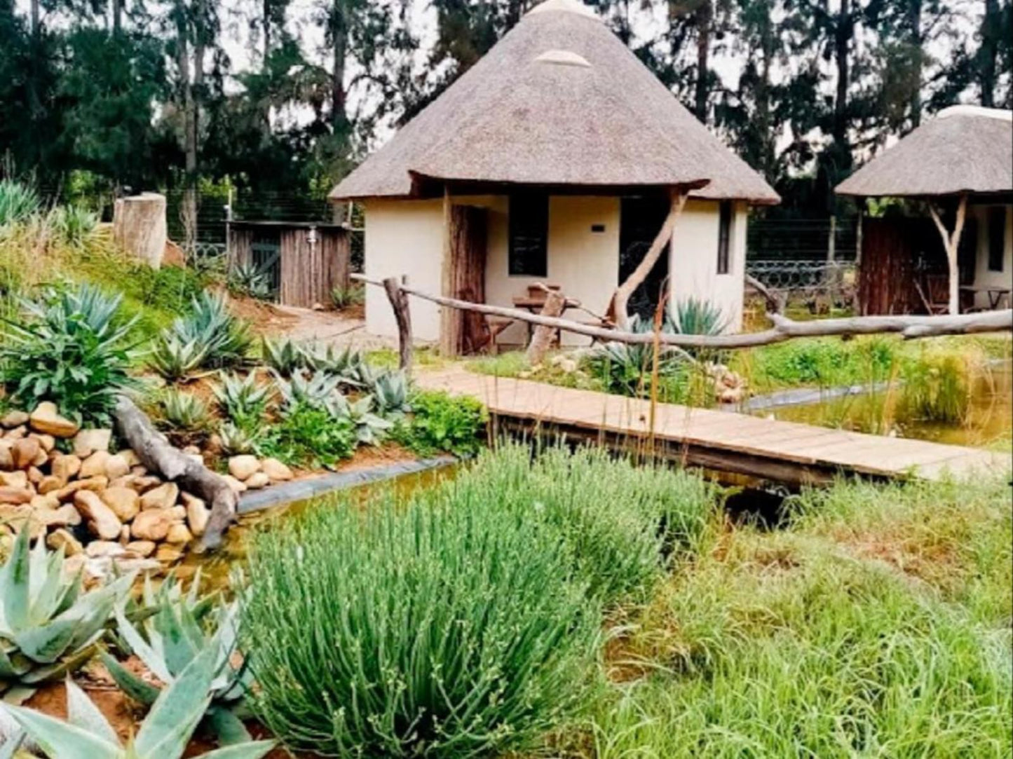 Addo African Home Restaurant And Safari Addo Eastern Cape South Africa Palm Tree, Plant, Nature, Wood, Garden