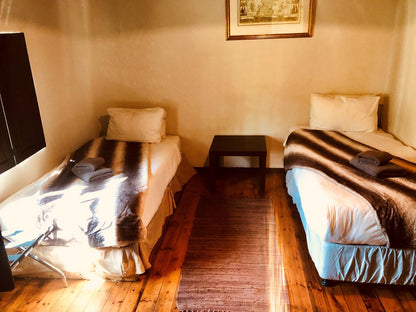 Superior Quadruple Room @ Addo African Home, Restaurant & Safari