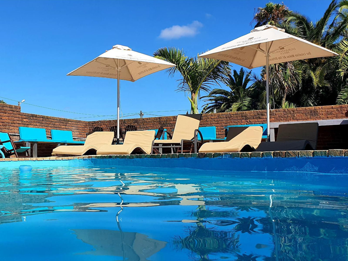 Addo Riverbank On Sundays Colchester Eastern Cape South Africa Colorful, Palm Tree, Plant, Nature, Wood, Swimming Pool