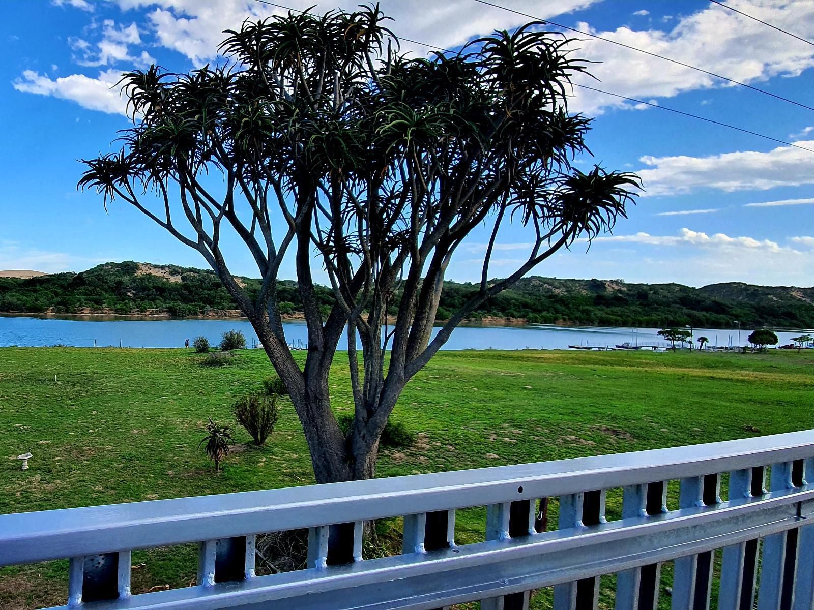 Addo Riverbank On Sundays Colchester Eastern Cape South Africa Nature