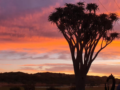 Addo Riverbank On Sundays Colchester Eastern Cape South Africa Palm Tree, Plant, Nature, Wood, Sky, Sunset