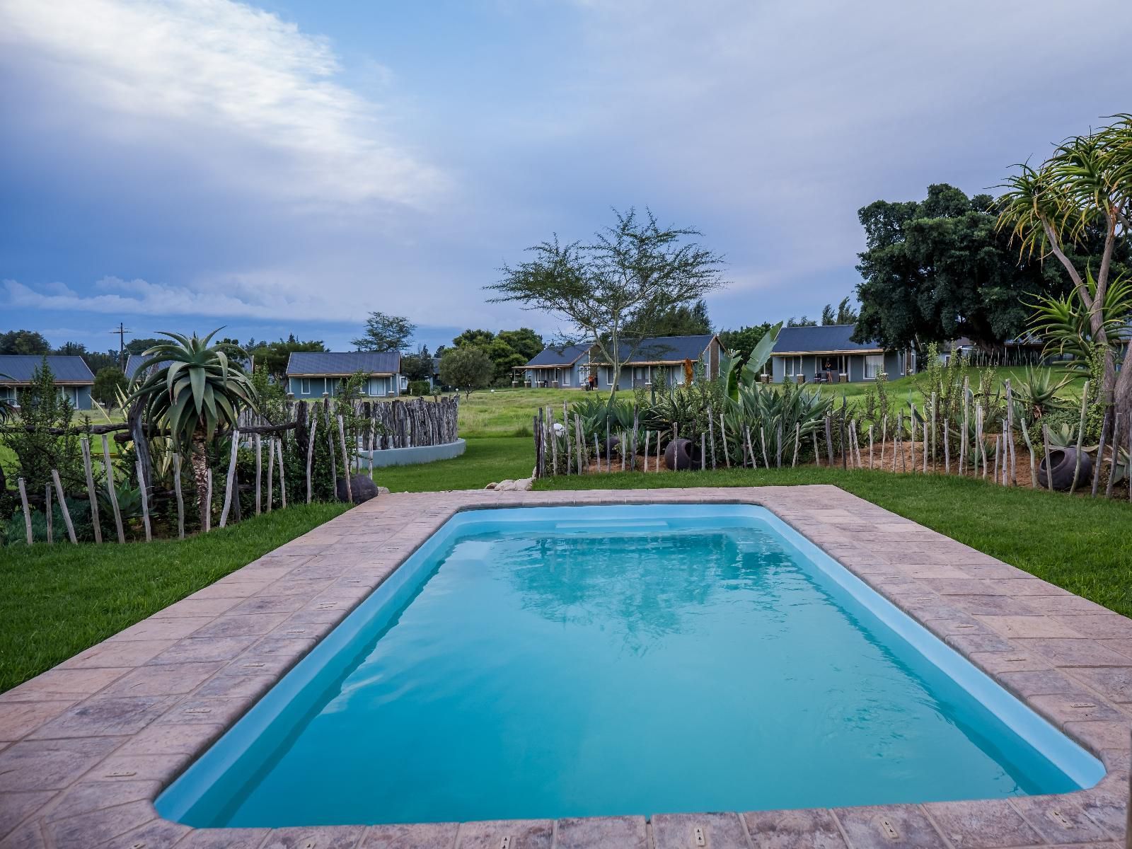 Addo Wildlife Addo Eastern Cape South Africa House, Building, Architecture, Palm Tree, Plant, Nature, Wood, Garden, Swimming Pool