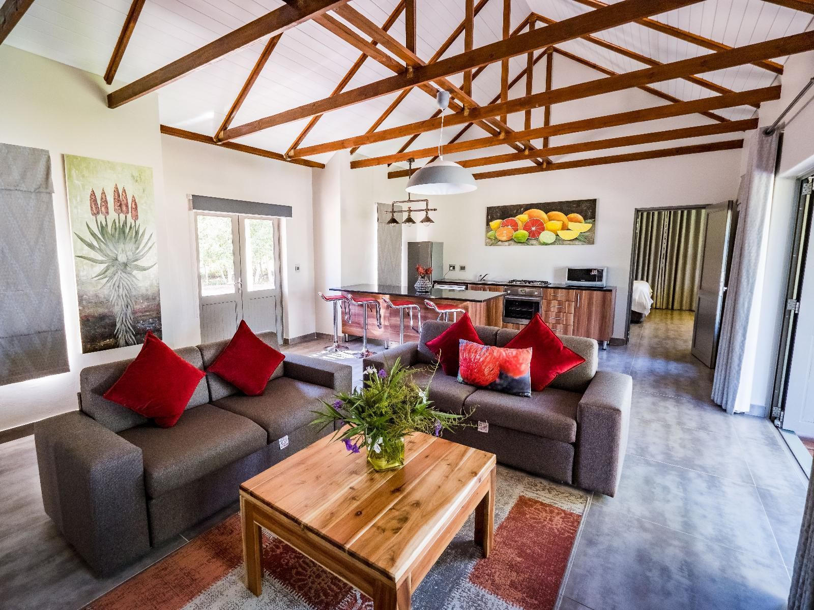 Addo Wildlife Addo Eastern Cape South Africa Living Room