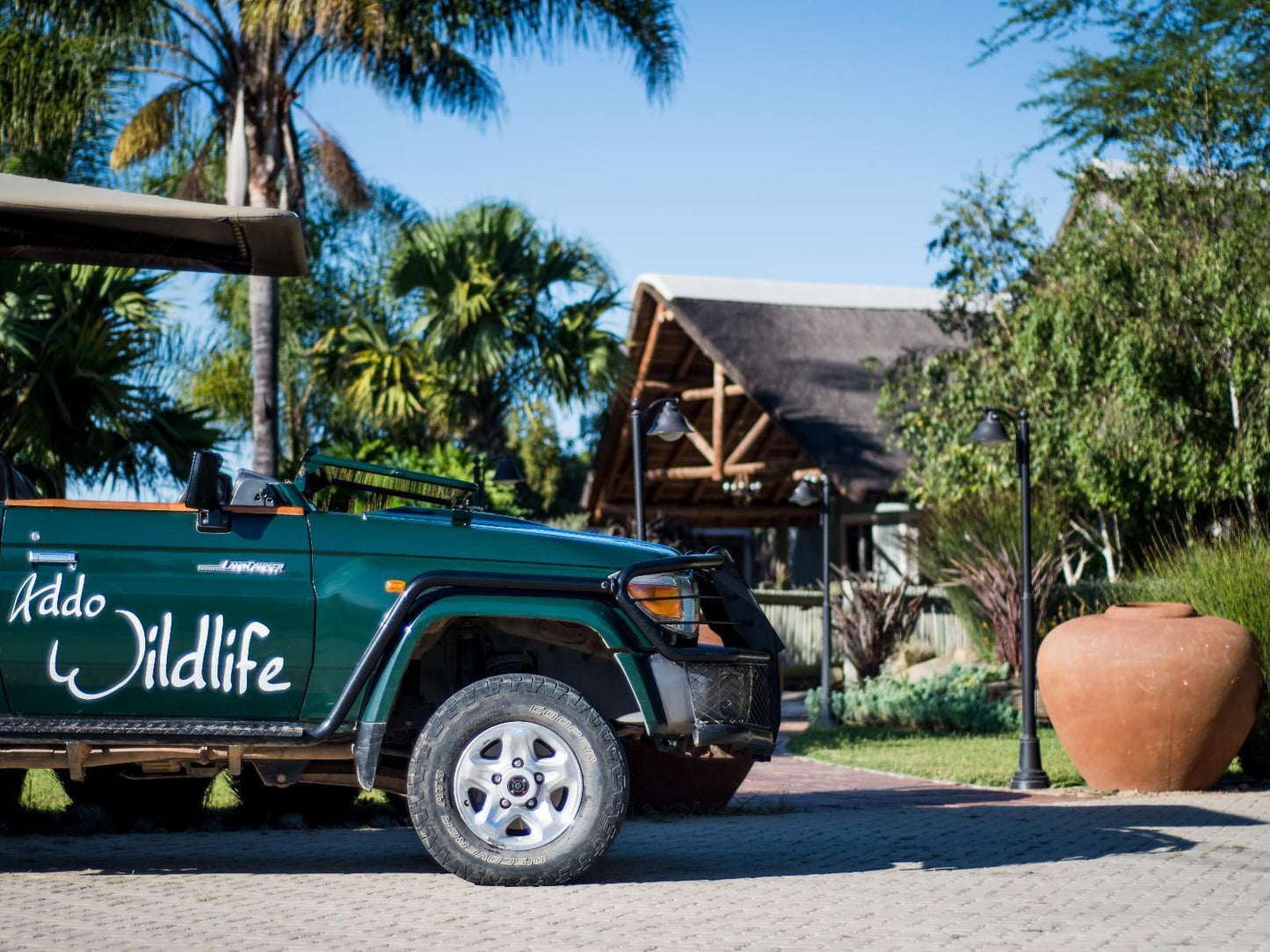 Addo Wildlife Addo Eastern Cape South Africa Car, Vehicle