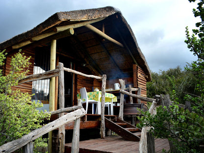 Bush Cabins @ Addo Dung Beetle Guest Farm