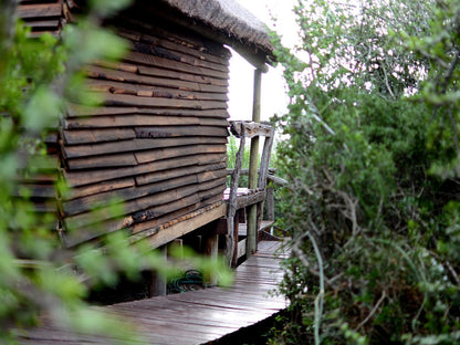 Bush Cabins @ Addo Dung Beetle Guest Farm