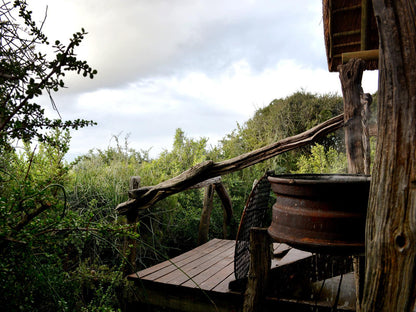 Bush Cabins @ Addo Dung Beetle Guest Farm