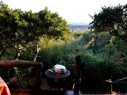 Bush Cabins @ Addo Dung Beetle Guest Farm