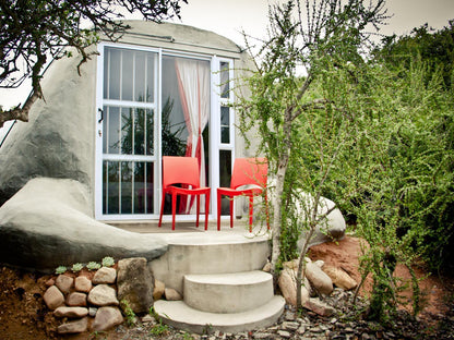 Dung Beetle Suite queen bed @ Addo Dung Beetle Guest Farm