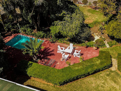 Adley House Oudtshoorn Western Cape South Africa Palm Tree, Plant, Nature, Wood, Garden, Swimming Pool