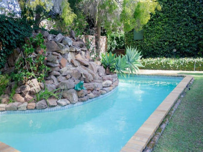 Adley House Oudtshoorn Western Cape South Africa Garden, Nature, Plant, Swimming Pool