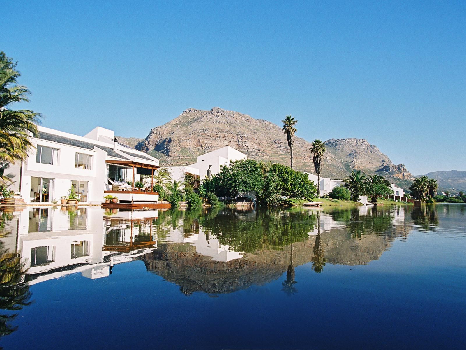 Admiralty Bandb Muizenberg Cape Town Western Cape South Africa Palm Tree, Plant, Nature, Wood, Swimming Pool