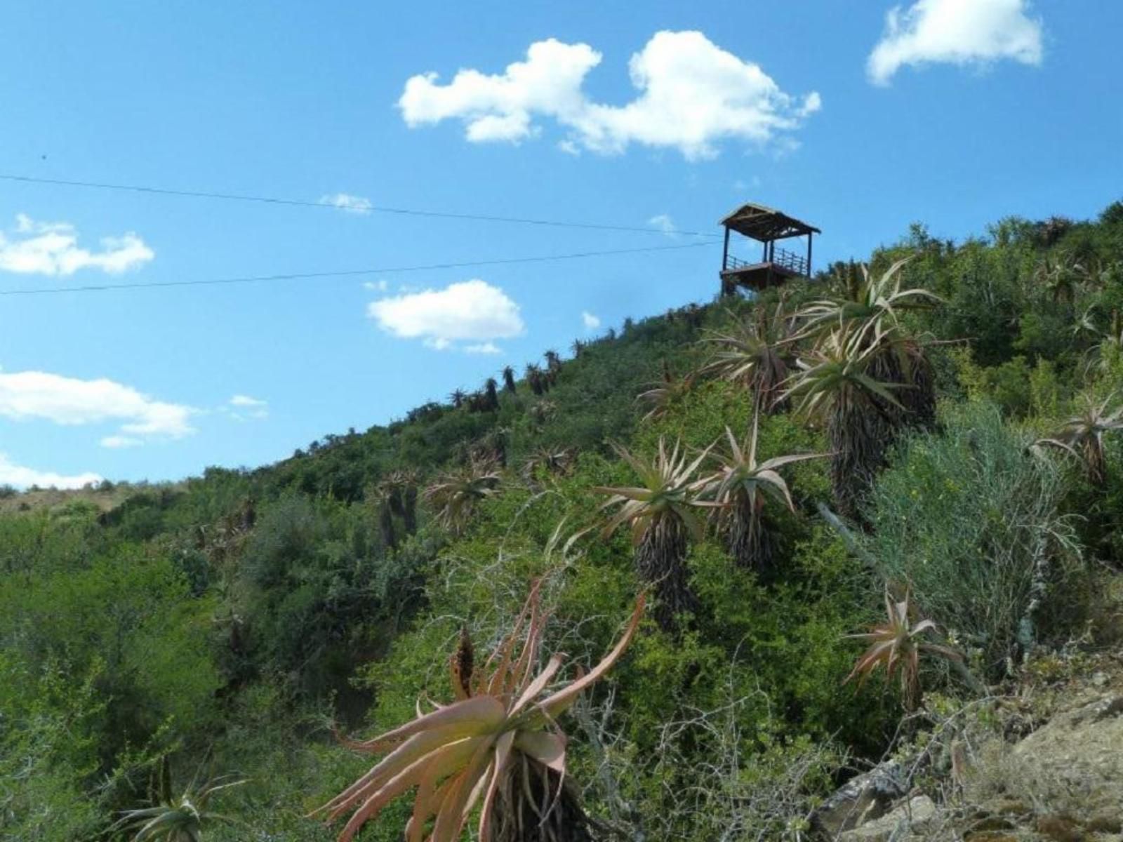 Adrenalin Addo Manor House Addo Eastern Cape South Africa Nature