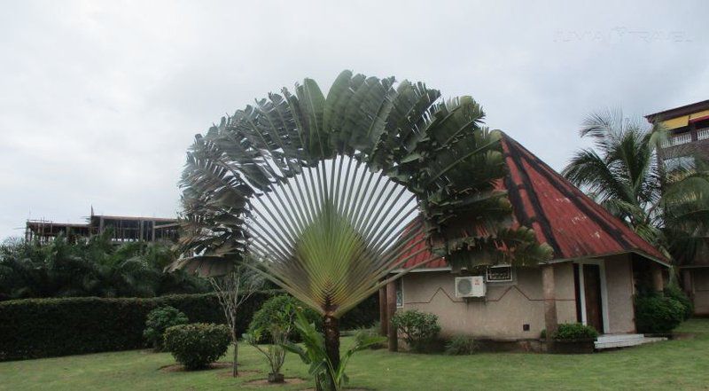 Adrien Hotel Riviera Pretoria Tshwane Gauteng South Africa House, Building, Architecture, Palm Tree, Plant, Nature, Wood