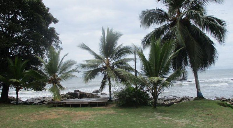 Adrien Hotel Riviera Pretoria Tshwane Gauteng South Africa Beach, Nature, Sand, Palm Tree, Plant, Wood