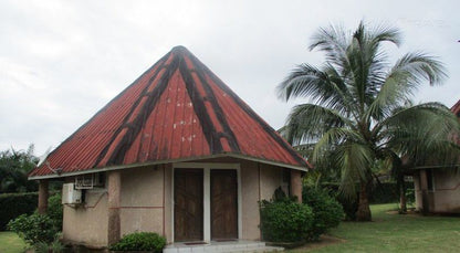 Adrien Hotel Riviera Pretoria Tshwane Gauteng South Africa Building, Architecture, House, Palm Tree, Plant, Nature, Wood, Church, Religion