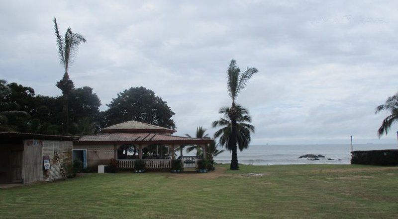 Adrien Hotel Riviera Pretoria Tshwane Gauteng South Africa Beach, Nature, Sand, Palm Tree, Plant, Wood