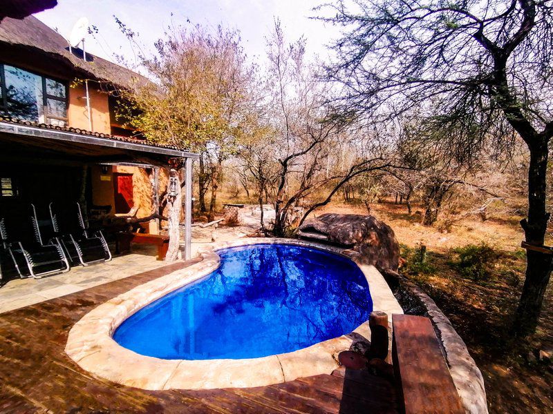 Adventure Bush Villa Marloth Park Mpumalanga South Africa Complementary Colors, Swimming Pool