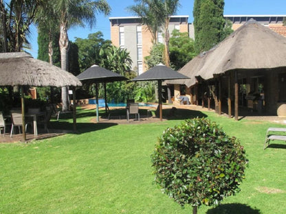 Aero Guest Lodge, Palm Tree, Plant, Nature, Wood, Swimming Pool