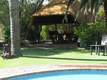 Aero Guest Lodge, Palm Tree, Plant, Nature, Wood, Swimming Pool