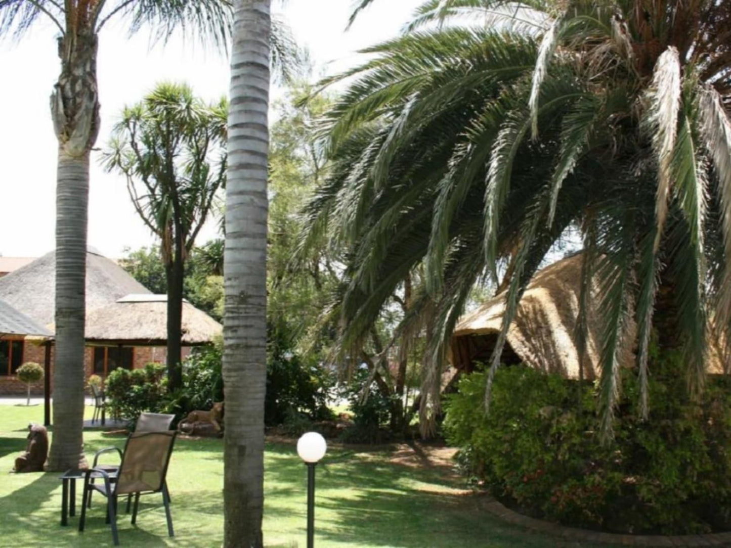 Aero Guest Lodge, Palm Tree, Plant, Nature, Wood