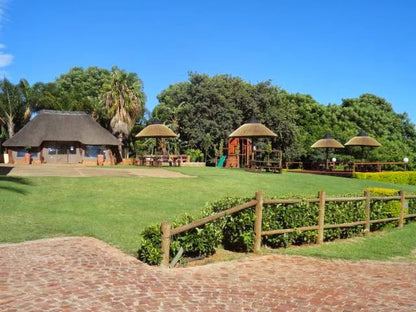 Aeroden Lodge Brits North West Province South Africa Complementary Colors, Palm Tree, Plant, Nature, Wood