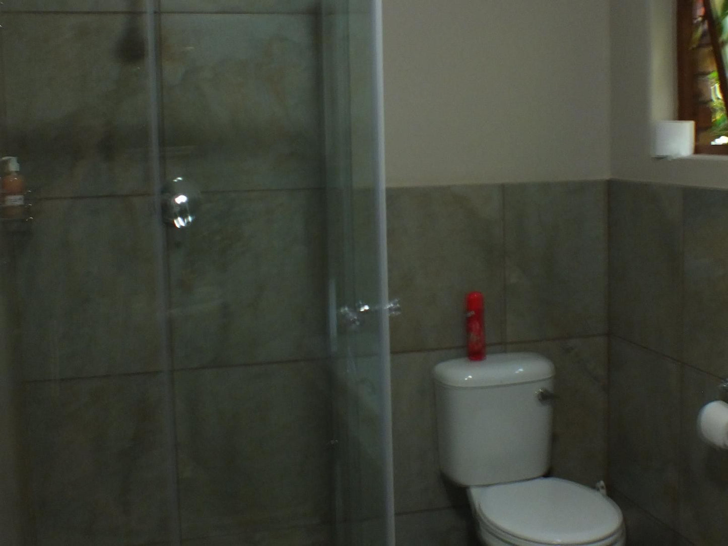 Aero Lodge Middelburg Mpumalanga Mpumalanga South Africa Unsaturated, Bathroom