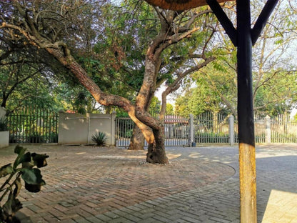 Aerotropolis Guest Lodge Kempton Park Johannesburg Gauteng South Africa Palm Tree, Plant, Nature, Wood, Garden