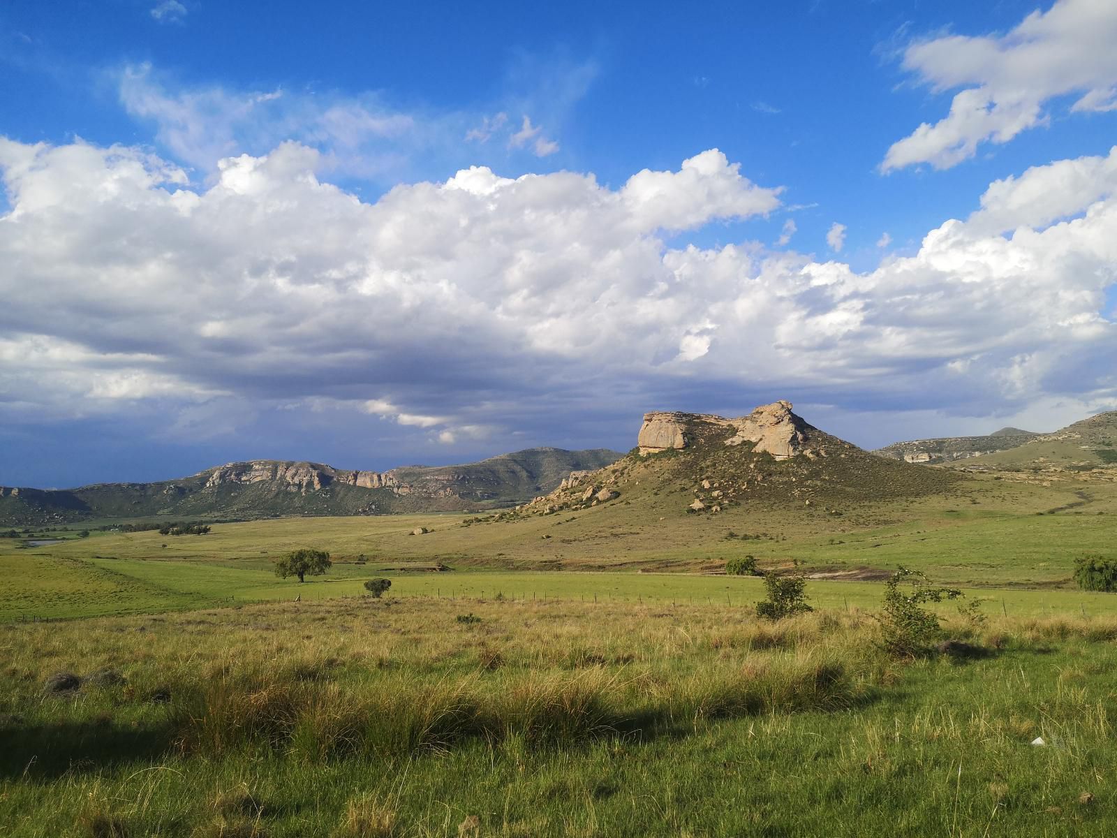 Affi Lande Guestfarm And Wedding Venue Fouriesburg Free State South Africa Complementary Colors, Nature