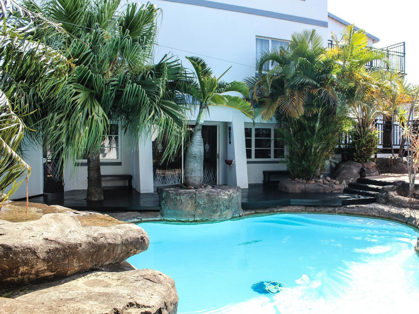 Africa Regent Durban North Durban Kwazulu Natal South Africa House, Building, Architecture, Palm Tree, Plant, Nature, Wood, Swimming Pool