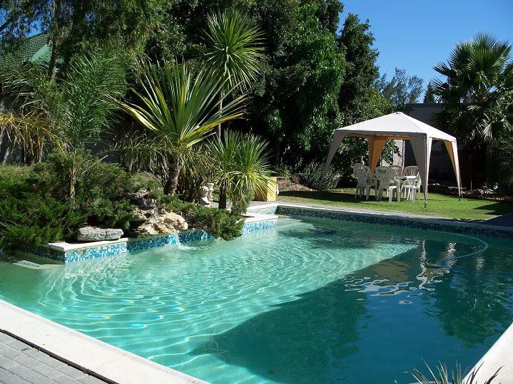 Afri Khaya Self Catering Apartment Durbanville Cape Town Western Cape South Africa Palm Tree, Plant, Nature, Wood, Garden, Swimming Pool