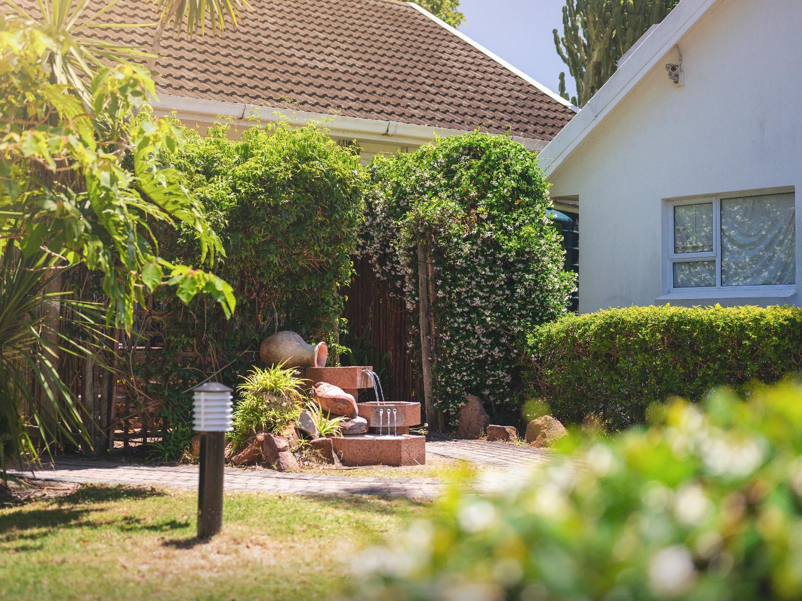 Africa Beach B&B, House, Building, Architecture, Palm Tree, Plant, Nature, Wood, Garden