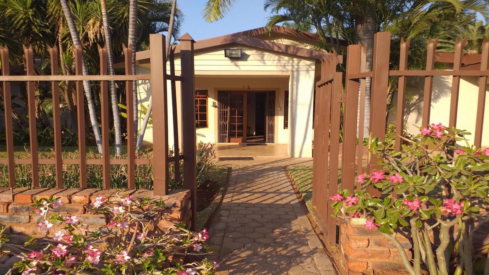 Africa Dawn Guesthouse, House, Building, Architecture, Palm Tree, Plant, Nature, Wood