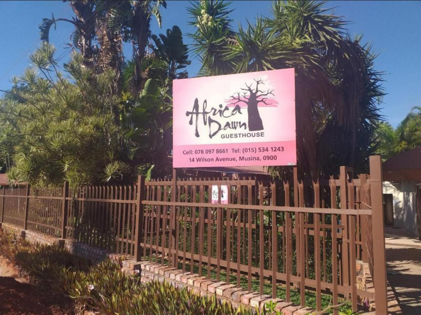 Africa Dawn Guesthouse, Palm Tree, Plant, Nature, Wood, Sign, Text