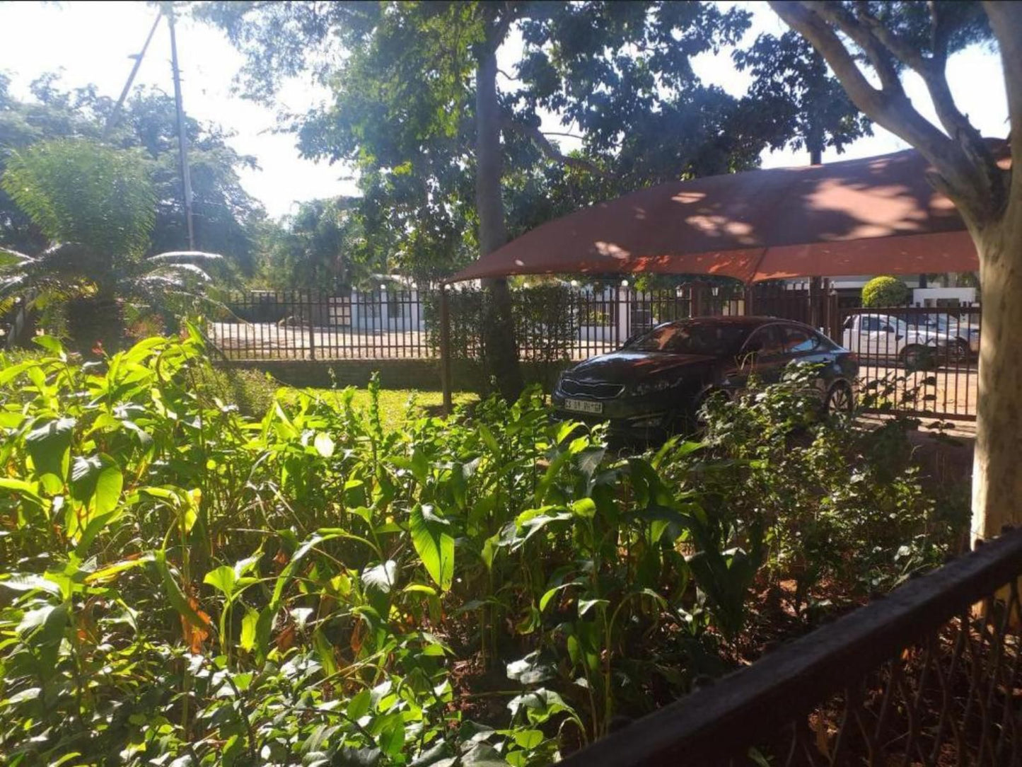 Africa Dawn Guesthouse, Palm Tree, Plant, Nature, Wood, Car, Vehicle