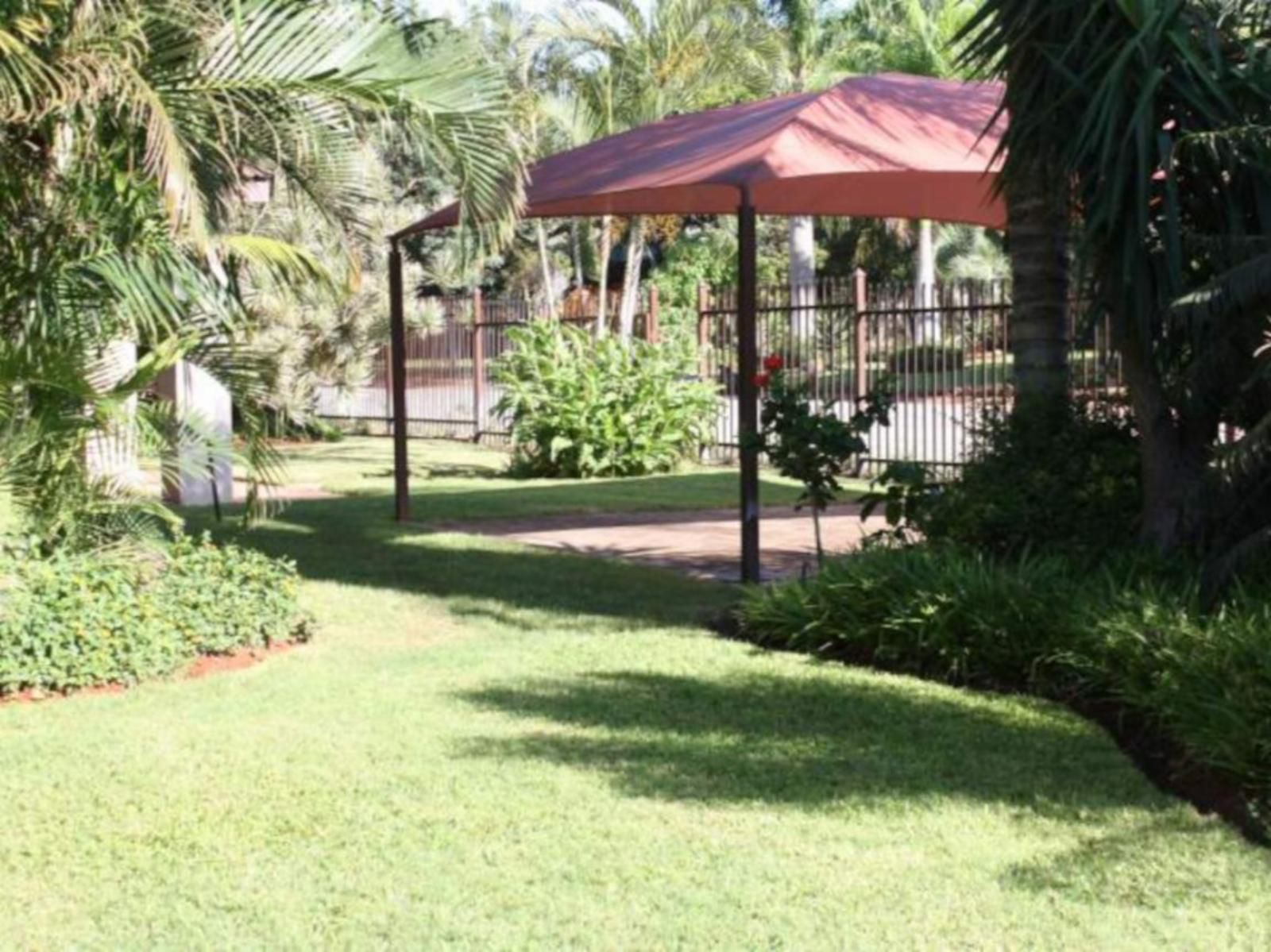 Africa Dawn Guesthouse, Palm Tree, Plant, Nature, Wood, Garden