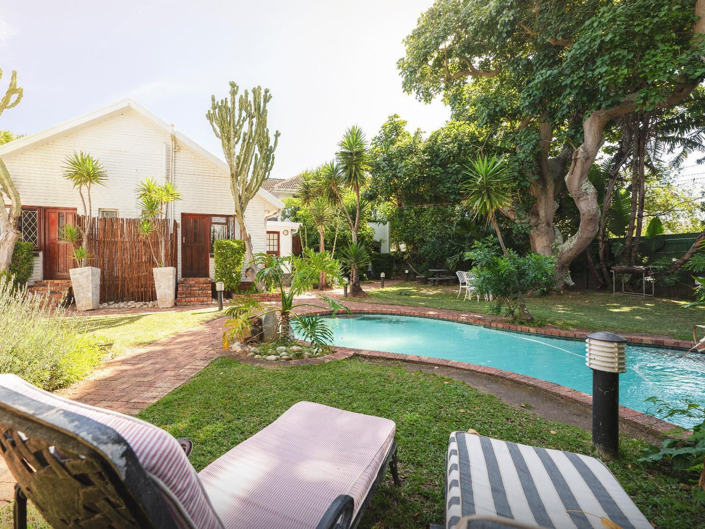 Africa Beach Bed And Breakfast Summerstrand Port Elizabeth Eastern Cape South Africa House, Building, Architecture, Palm Tree, Plant, Nature, Wood, Garden, Swimming Pool