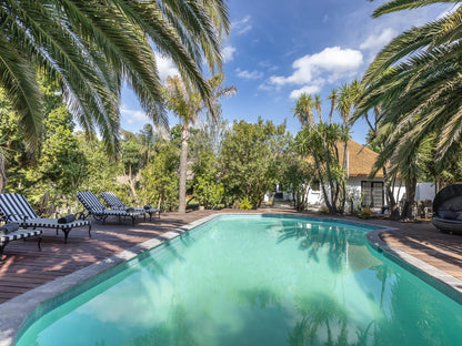 Africa Lodge Jonkershoogte Somerset West Western Cape South Africa Complementary Colors, Palm Tree, Plant, Nature, Wood, Swimming Pool