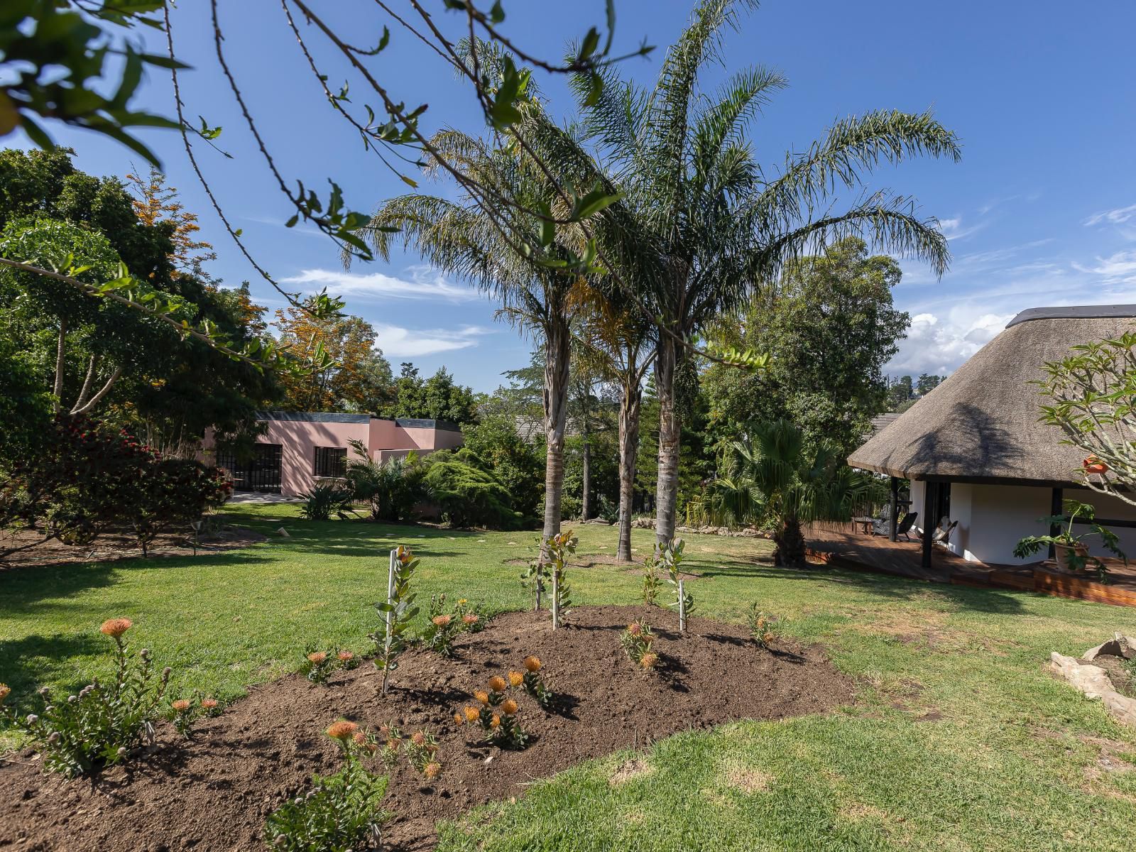 Africa Lodge Jonkershoogte Somerset West Western Cape South Africa Complementary Colors, Palm Tree, Plant, Nature, Wood, Garden