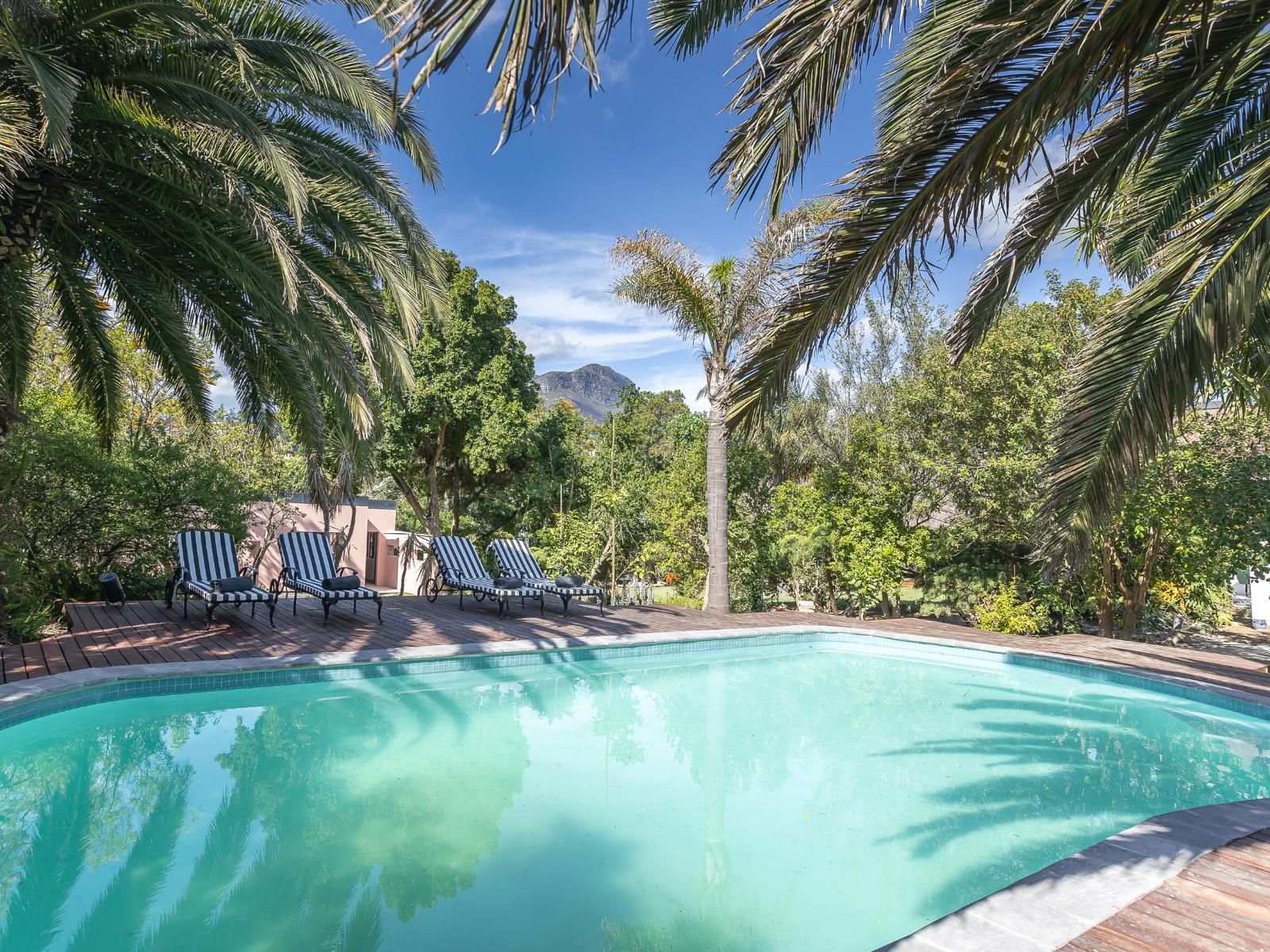 Africa Lodge Jonkershoogte Somerset West Western Cape South Africa Complementary Colors, Palm Tree, Plant, Nature, Wood, Swimming Pool