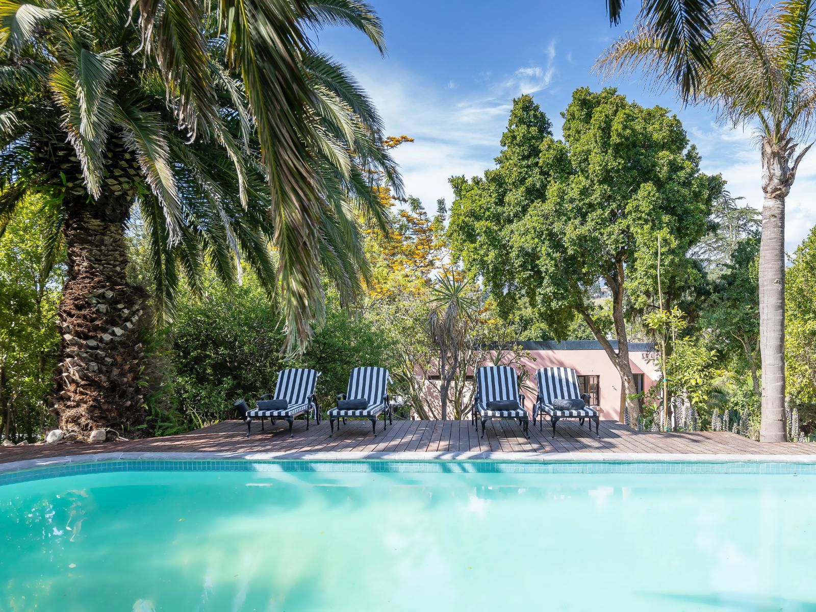 Africa Lodge Jonkershoogte Somerset West Western Cape South Africa Complementary Colors, Palm Tree, Plant, Nature, Wood, Swimming Pool