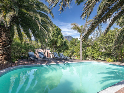 Africa Lodge Jonkershoogte Somerset West Western Cape South Africa Palm Tree, Plant, Nature, Wood, Swimming Pool