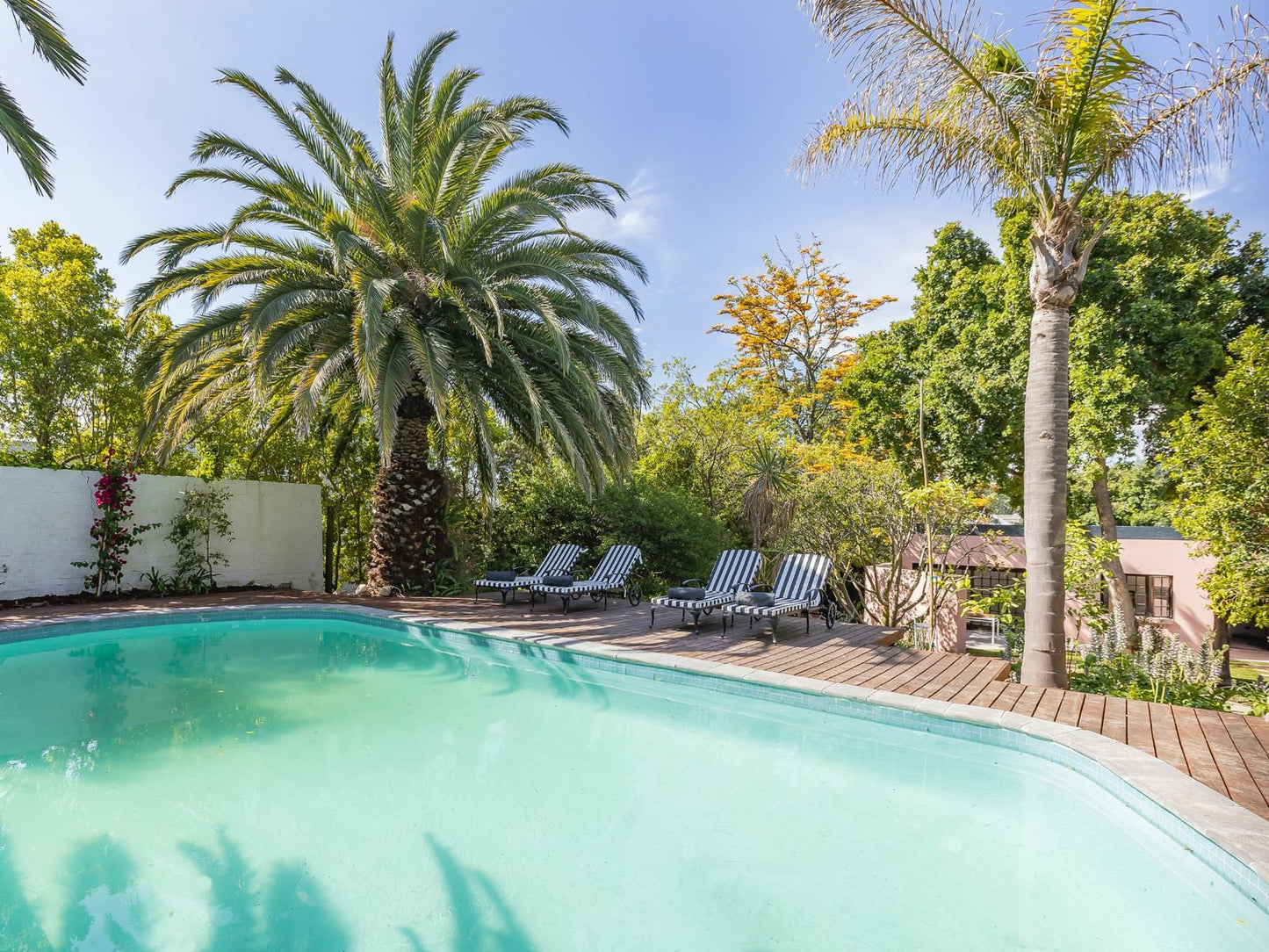 Africa Lodge Jonkershoogte Somerset West Western Cape South Africa Complementary Colors, Palm Tree, Plant, Nature, Wood, Garden, Swimming Pool