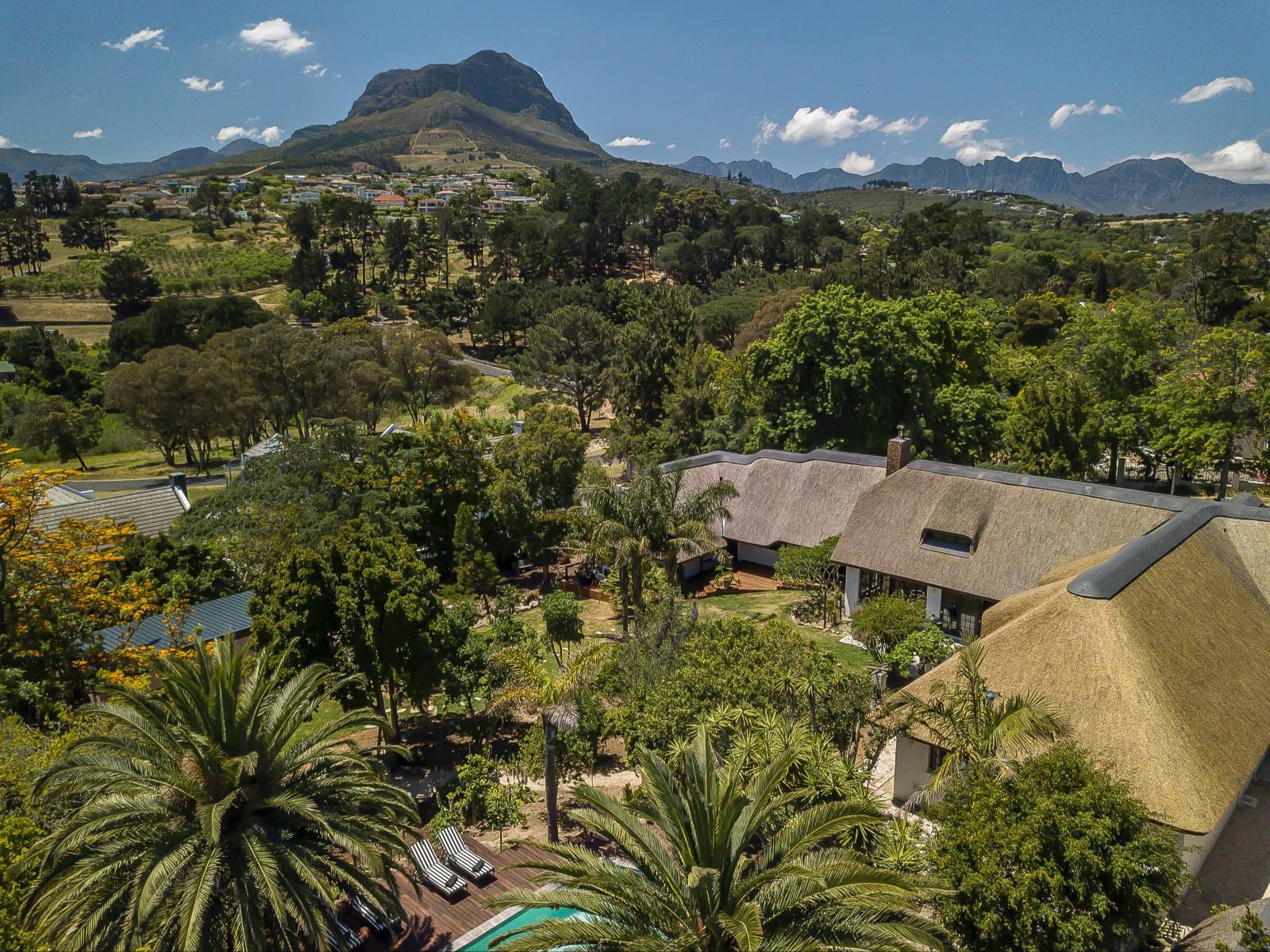 Africa Lodge Jonkershoogte Somerset West Western Cape South Africa Palm Tree, Plant, Nature, Wood, Swimming Pool