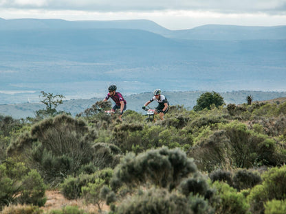 Africamps Addo, Highland, Nature, Mountain Bike, Funsport, Sport, Bicycle, Cycling, Vehicle, Person