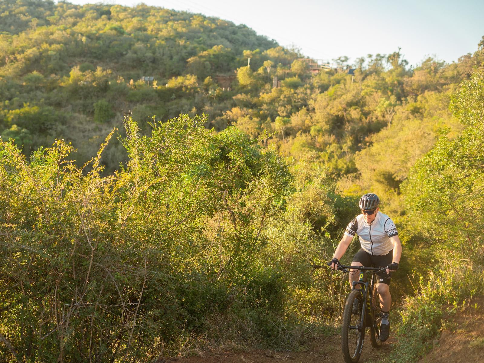 Africamps Addo, Face, Person, One Face, Helmet, Bicycle, Vehicle, Cycling, Sport, Mountain Bike, Funsport, Frontal Face