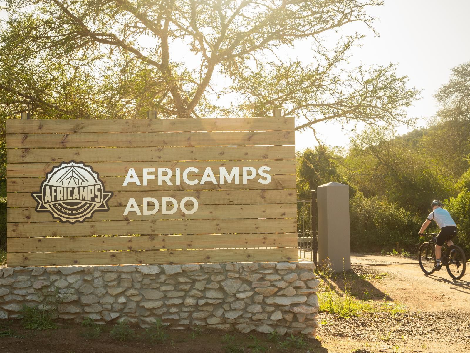 Africamps Addo, Sepia Tones, Sign, Person