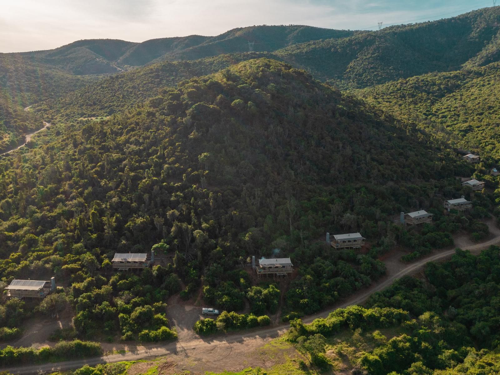 Africamps Addo, Forest, Nature, Plant, Tree, Wood, Aerial Photography, Highland