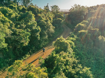 Africamps Addo, Bicycle, Vehicle, Bridge, Architecture, Forest, Nature, Plant, Tree, Wood, Cycling, Sport